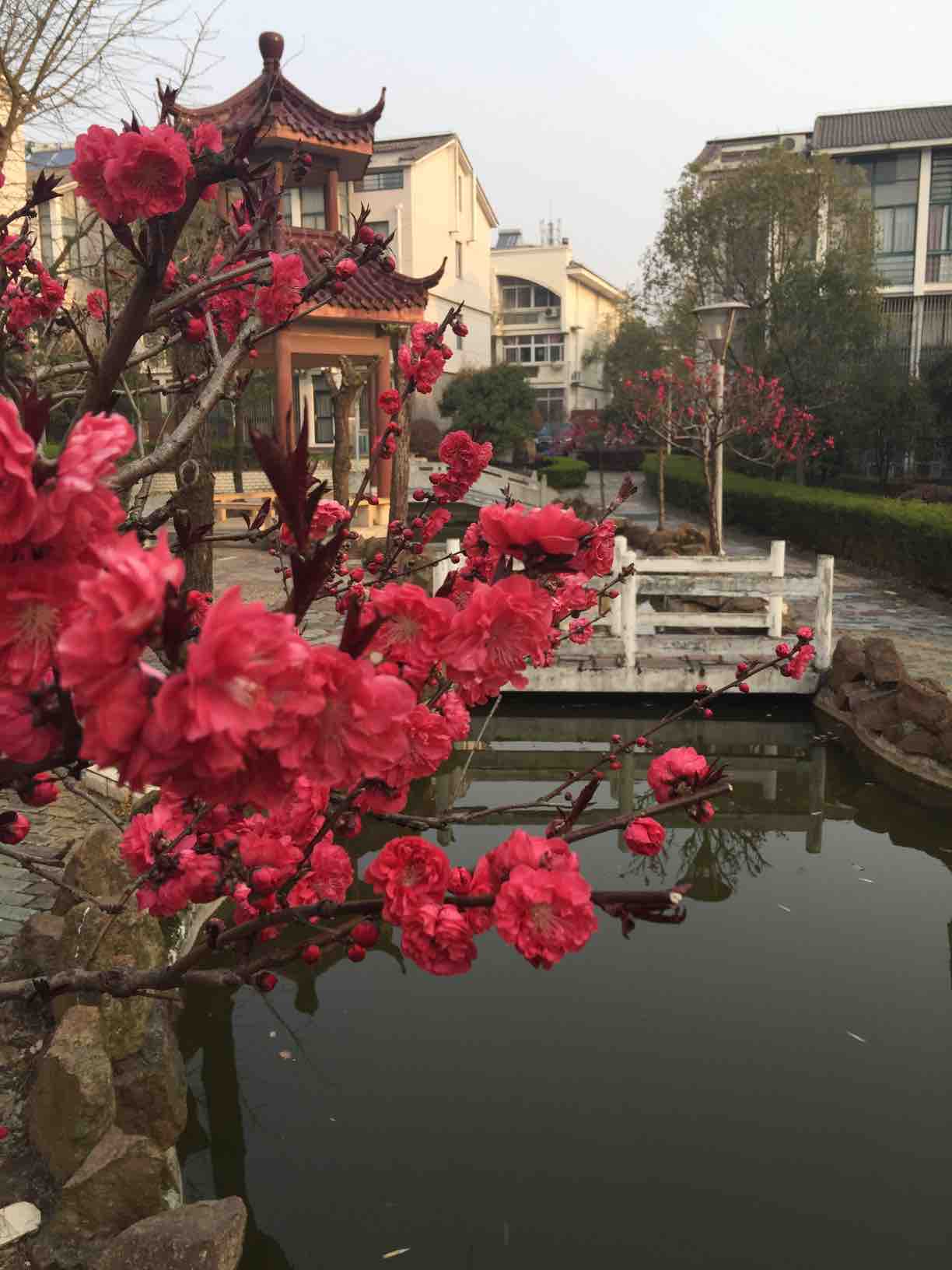 航拍江苏省常州溧阳天目湖景区、太公山景区_站酷海洛_正版图片_视频_字体_音乐素材交易平台_站酷旗下品牌