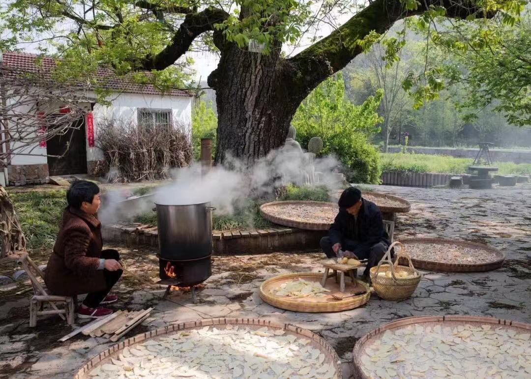 常州溧阳图片,天目湖,南山竹海_大山谷图库