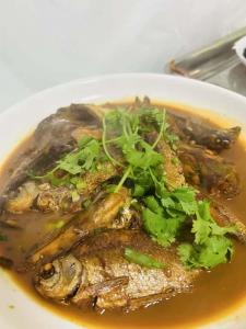 小杂鱼